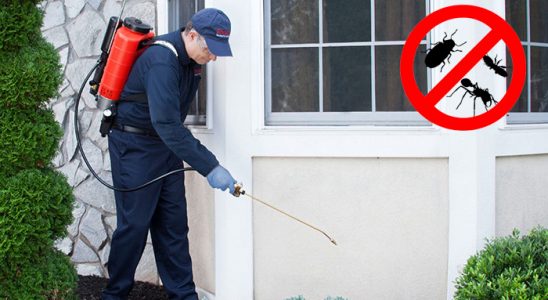 Taraklı Pire İlaçlama böcek ilaçlama ve haşere kontrolü — ilaclama-tr.com